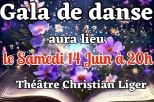 Gala de danse NEMAUSA