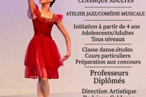 Affiche Némausa danse